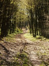 trail ... / .........