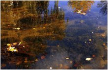 Autumn reflections / ***
