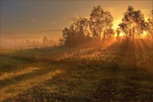Golden ray of sunshine ... / ***