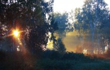 Indian summer / ***