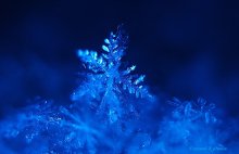 Unhappy landings / ***