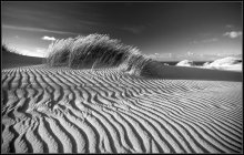 The geometry of the sand / ***
