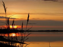 Evening at the lake / ***