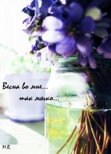 Spring in me so gently ......... / .....
