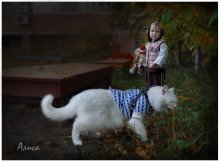 Farewell to Summer / ***************