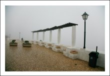 Living in a fog, continued / ***