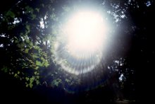 Golden ray of sunlight / ----------