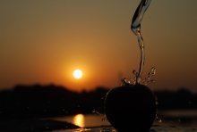 glass of apple branch / ***