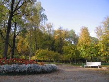 Lonely bench / ******