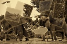 the lessons of Cubism / .....