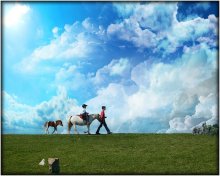 Pony rides / ***