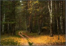 Dropped autumn leaf ... / ***