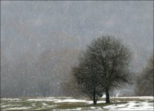 ... And softly falling snow ... / ***