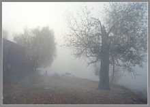 Autumn mists. / * * *