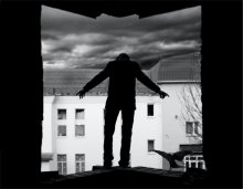 fly me to the bird il fall ... / ***