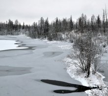 Beginning of winter / ***