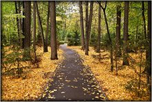 Autumn alley / ***