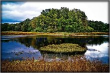 The contrasts of autumn / ***