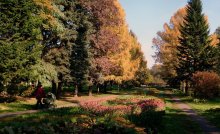 Autumn in the Botanical / ***