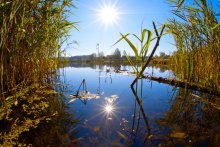 Autumn Pond / ***