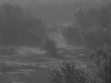 Morning fog / ......