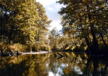 Autumn morning / ***