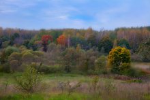 Palette of autumn ... / .....