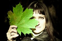 Autumn leaf / .......