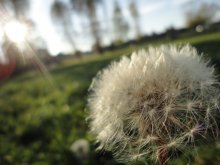 guided missile / ***