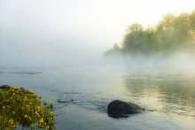 Morning on the river / ***