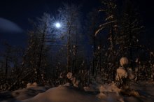 The moon was shining / ***