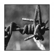 Barbed / ***