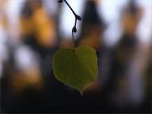 Farewell ... / ***