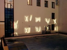 Figures of light / ***