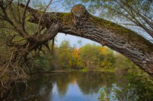 In the arch. / ******