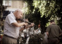 violin for passers-by / ***