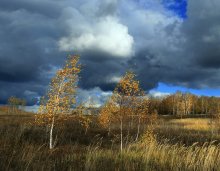 Windy. / ***