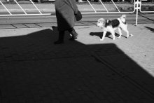 Think of the name / ....................