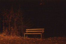 Bench, tree, lights (rear) / .....