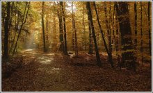 First day of November / ***