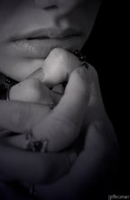 siberian solger / ..................