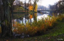 Autumn in the park. / *****