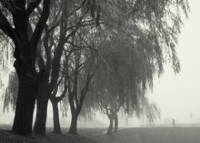 Autumn in the city / *****
