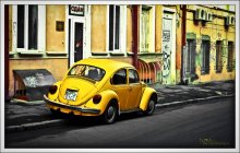 A small beetle) / ***