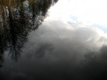 in the mirror of the water ... / ***