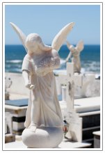 Angel winged / ***