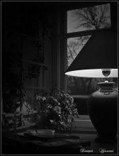 Autumn morning / ***