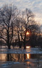 The arrival of spring / ***