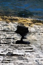 And nature is whispering .... / ***