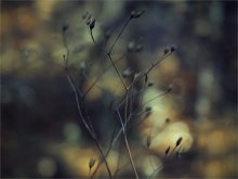 gloomy ... / .....